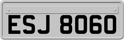 ESJ8060