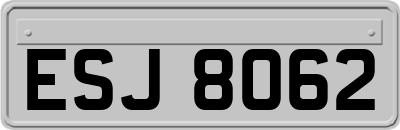 ESJ8062