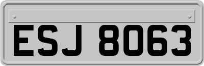 ESJ8063