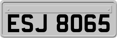 ESJ8065