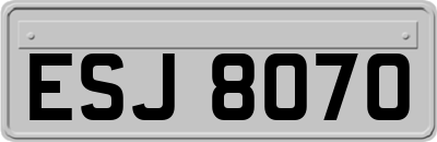 ESJ8070