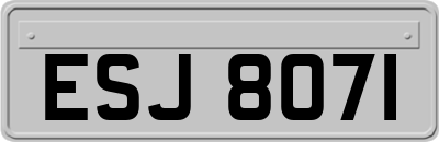 ESJ8071