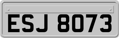 ESJ8073