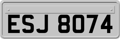 ESJ8074