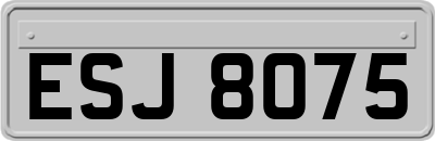 ESJ8075
