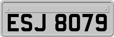 ESJ8079