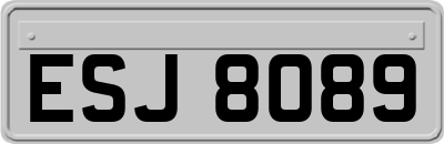 ESJ8089