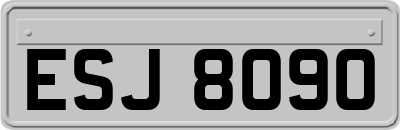 ESJ8090