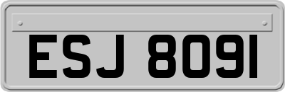 ESJ8091