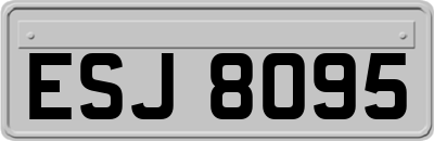 ESJ8095