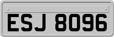 ESJ8096