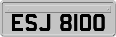 ESJ8100