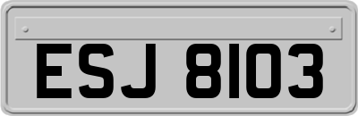 ESJ8103