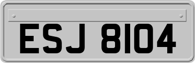 ESJ8104