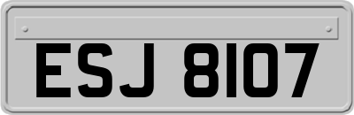 ESJ8107