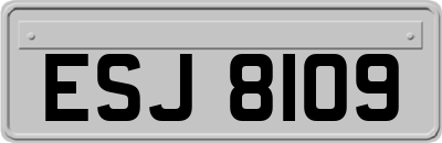 ESJ8109