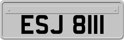 ESJ8111