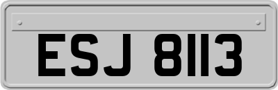 ESJ8113