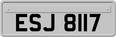 ESJ8117
