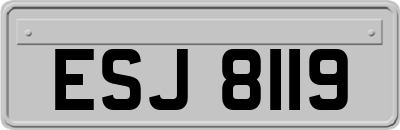 ESJ8119