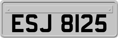 ESJ8125