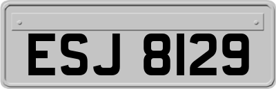 ESJ8129