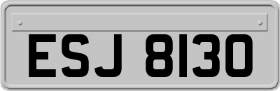 ESJ8130