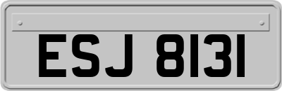 ESJ8131
