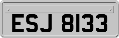 ESJ8133