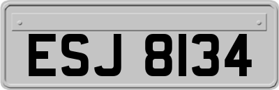 ESJ8134