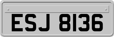 ESJ8136