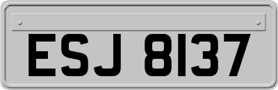 ESJ8137
