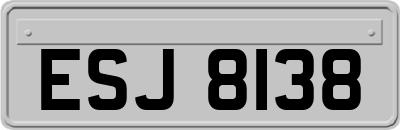 ESJ8138