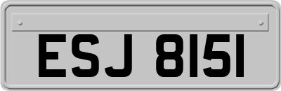 ESJ8151