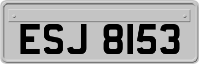 ESJ8153