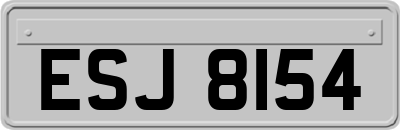 ESJ8154