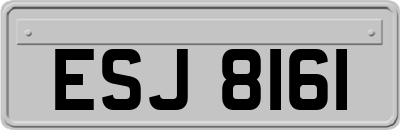 ESJ8161