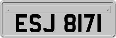 ESJ8171