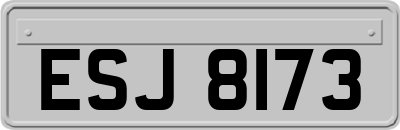 ESJ8173