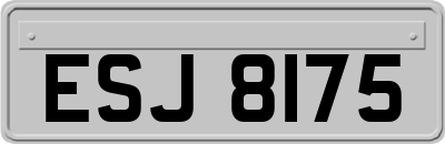 ESJ8175