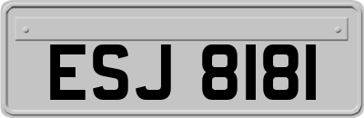 ESJ8181