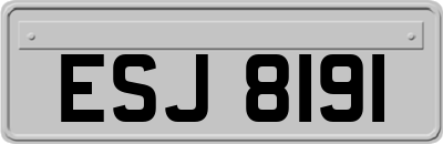 ESJ8191