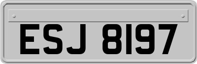 ESJ8197