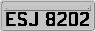 ESJ8202