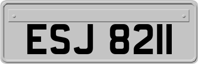ESJ8211