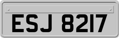 ESJ8217