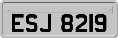 ESJ8219