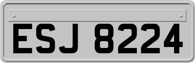 ESJ8224