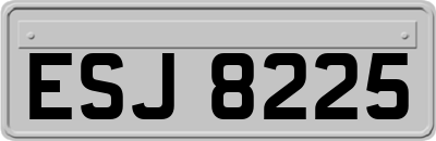 ESJ8225