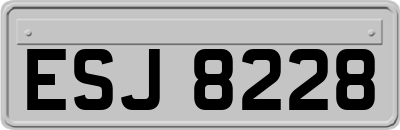 ESJ8228